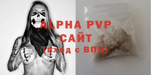 крисы Баксан