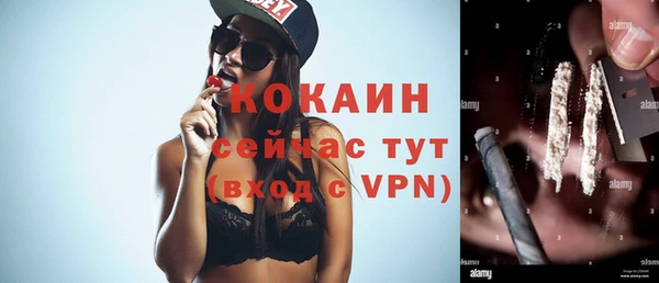 крисы Баксан