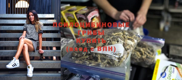 2c-b Болотное