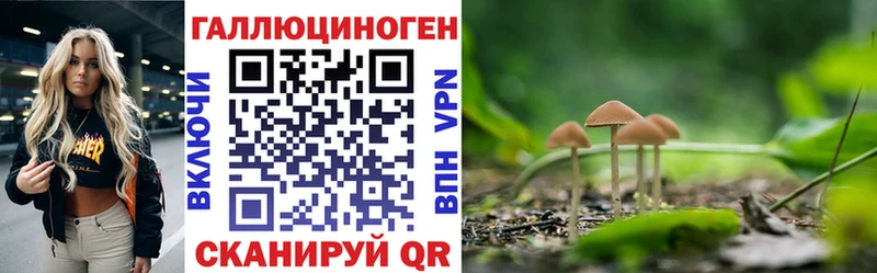 Галлюциногенные грибы GOLDEN TEACHER  где купить наркоту  Заозёрск 