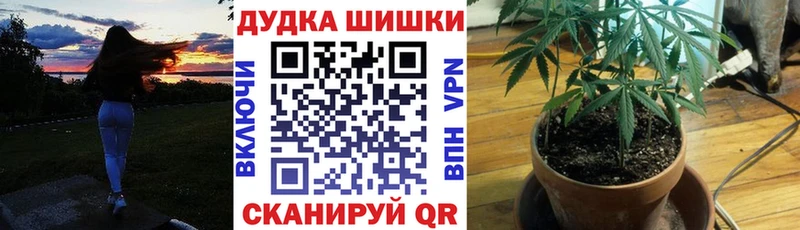 Канабис сатива  Заозёрск 